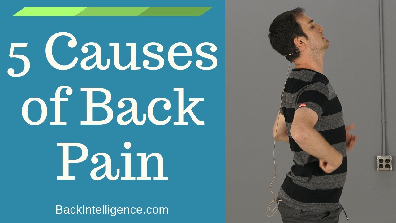 5 Common Causes Of Back Pain Female Aging